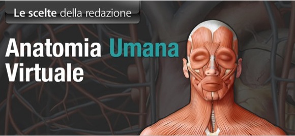Anatomia Umana Virtuale