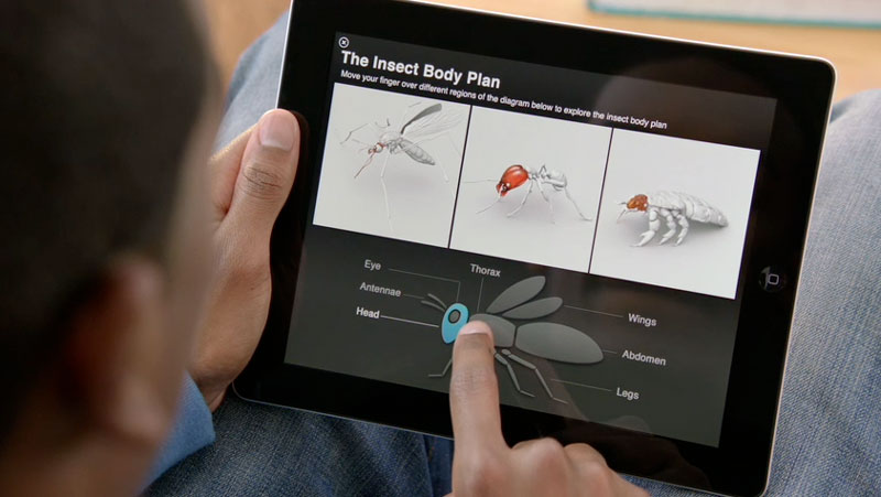 Un leak rivela iBooks 3.0, si pensa ad iPad Mini