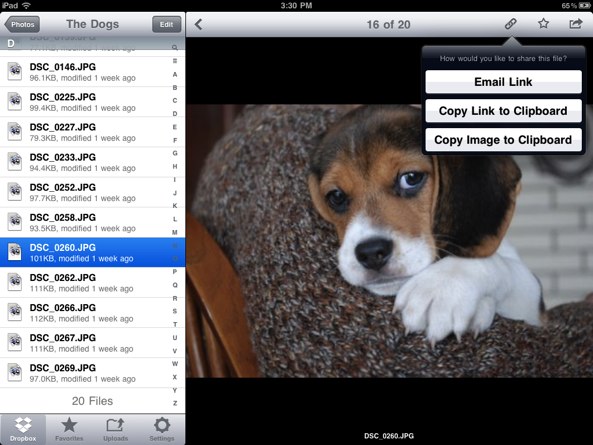 dropbox ios api