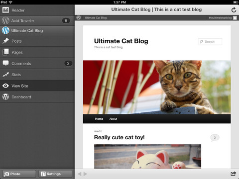 WordPress-for-iPad-1