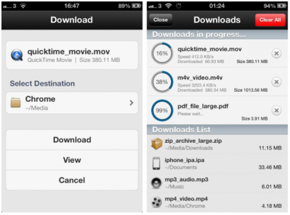 chrome downloader plus ipad