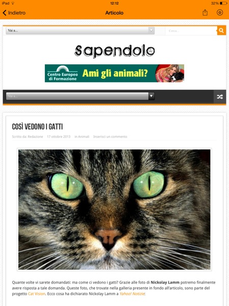 Sapendolo iPad.it recensione_2