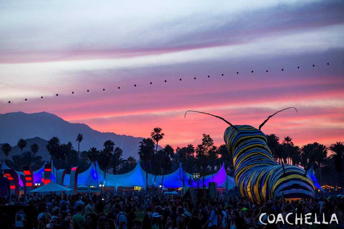 Coachella Festival